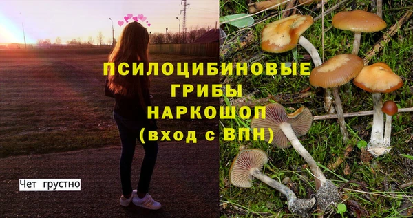 стафф Алексеевка